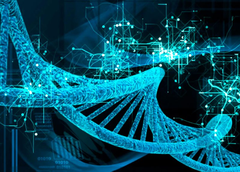 ДНК абстракция