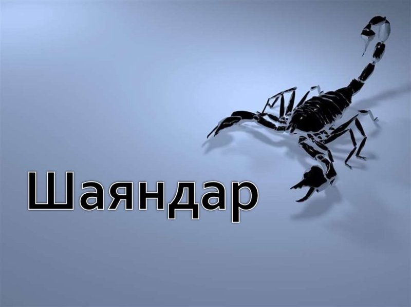 Скорпион на черном фоне