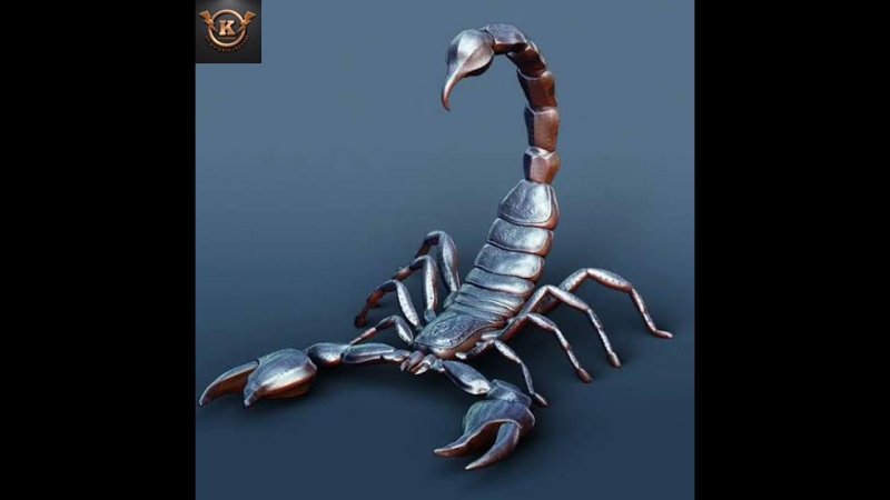 Скорпион картинки