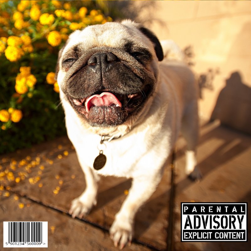 Весенний Мопс