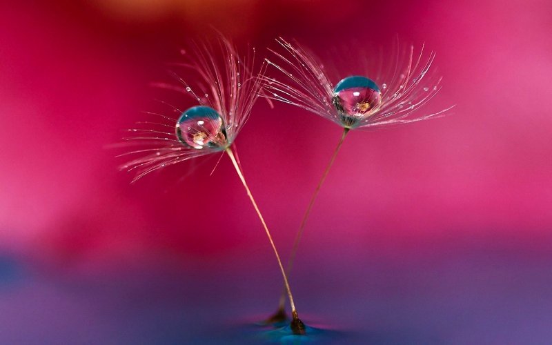 Обои на рабочий стол красивые необычные