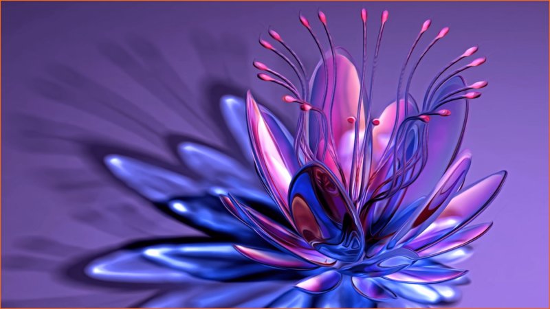 Цветы абстракция