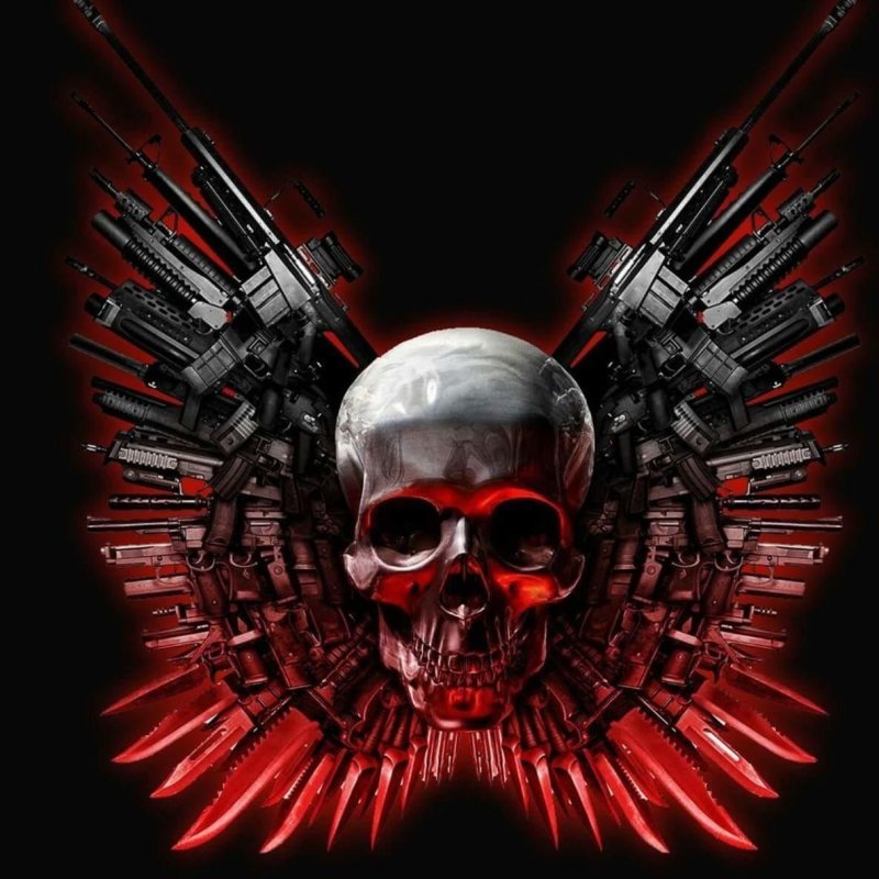 Красивый череп