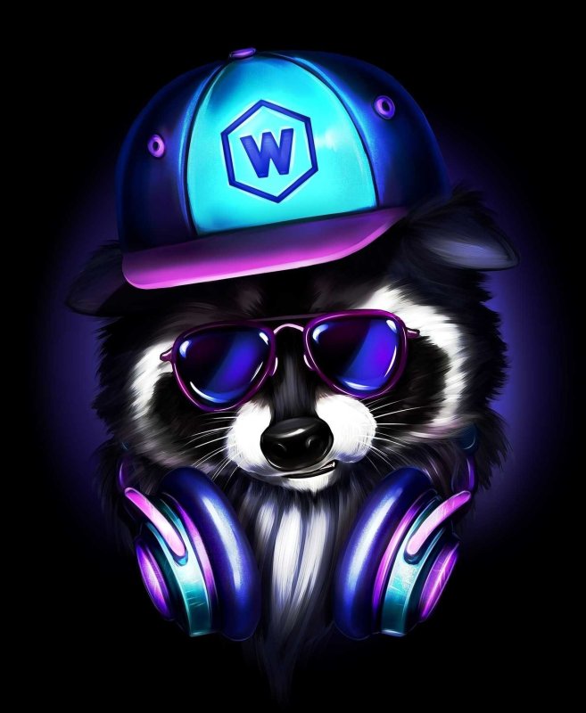 Енот на аву