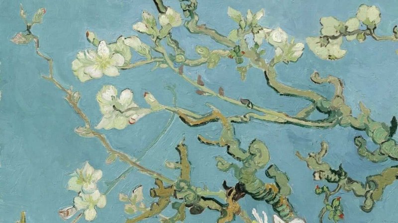 Цветущий миндаль Ван Гог HD