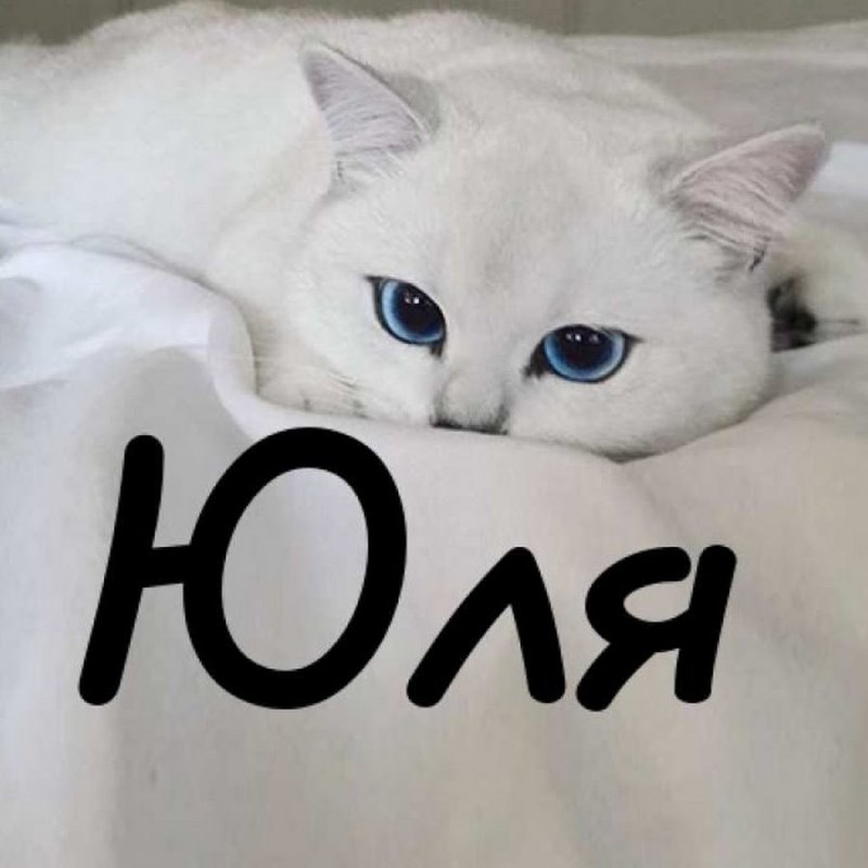 Имя Юля
