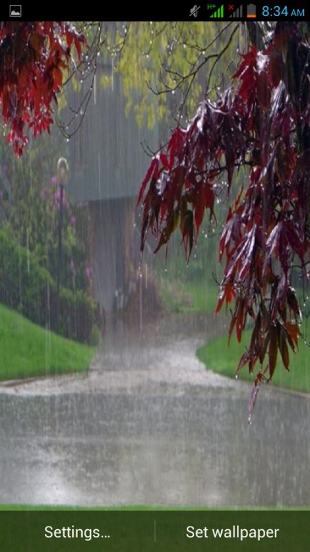 Заставка дождь
