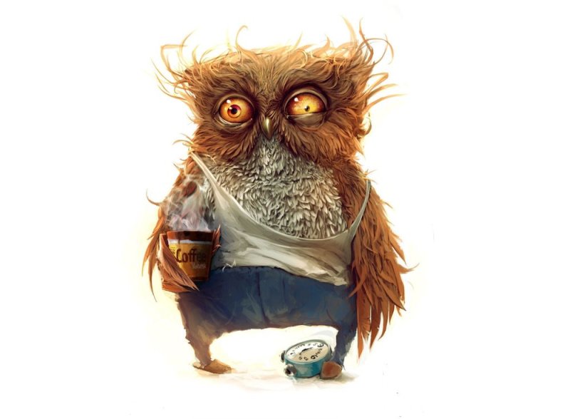 Работа дала мне многое