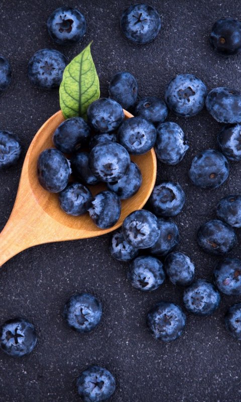 Черника ягода