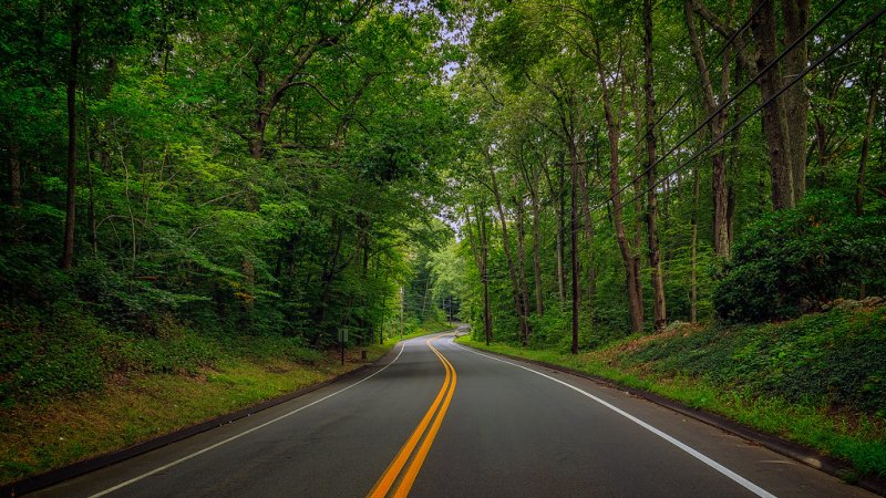 Лесная дорога