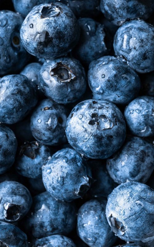 Черника ягода