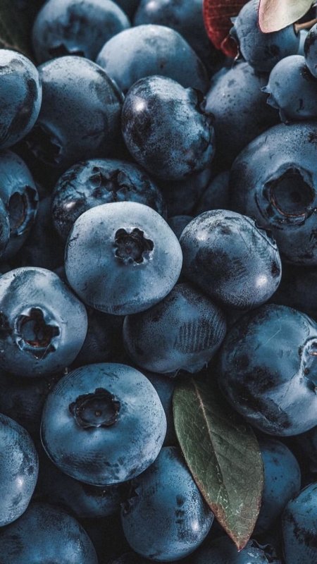 Черника и голубика