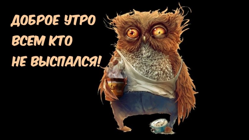 Сонная Сова картинки