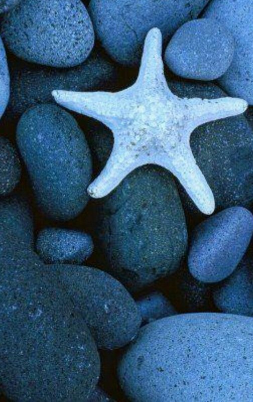 Красивые камушки