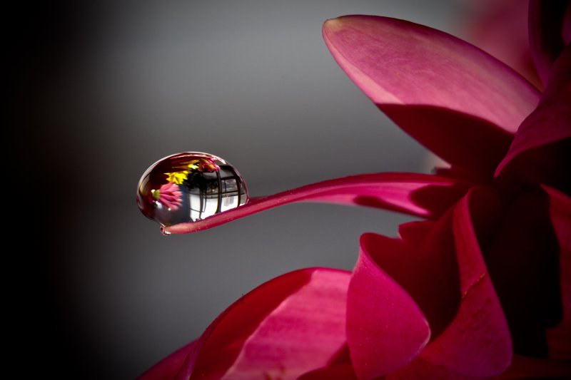 Красивые картинки на рабочий стол