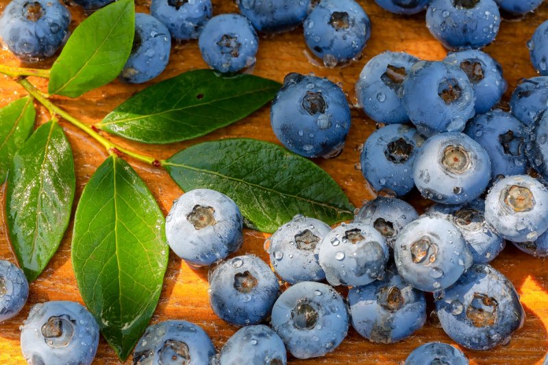 Голубика Блуберри