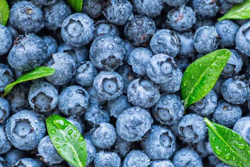 Черника Blueberry