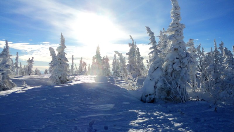 Шерегеш природа