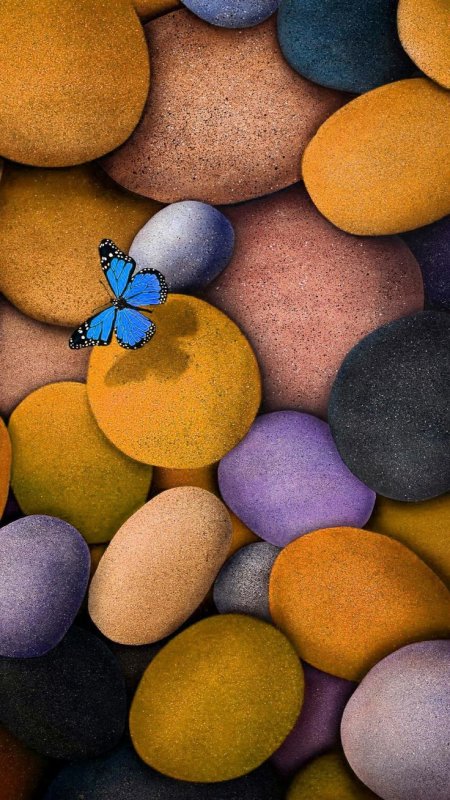 Обои на телефон