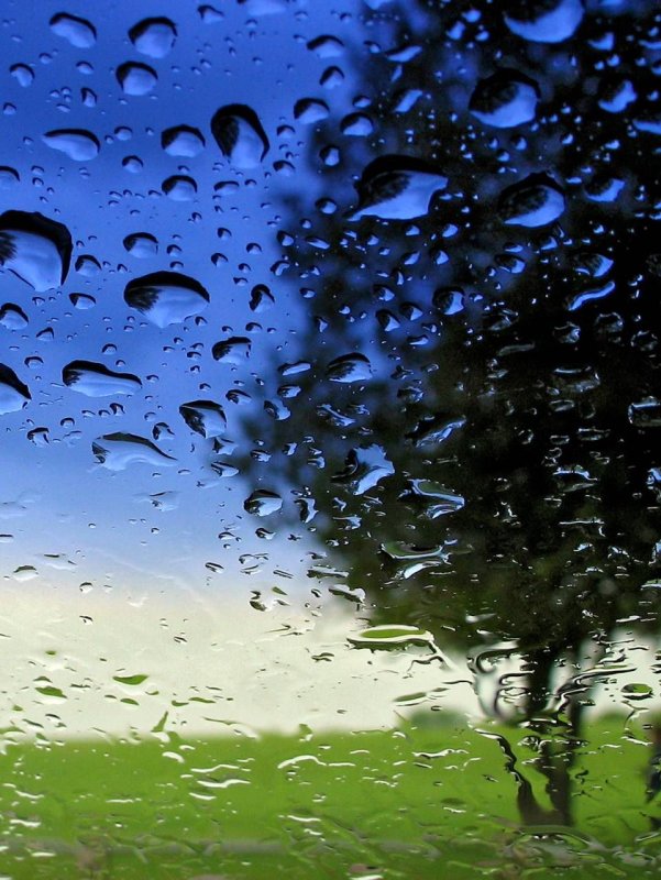 Дождь на стекле