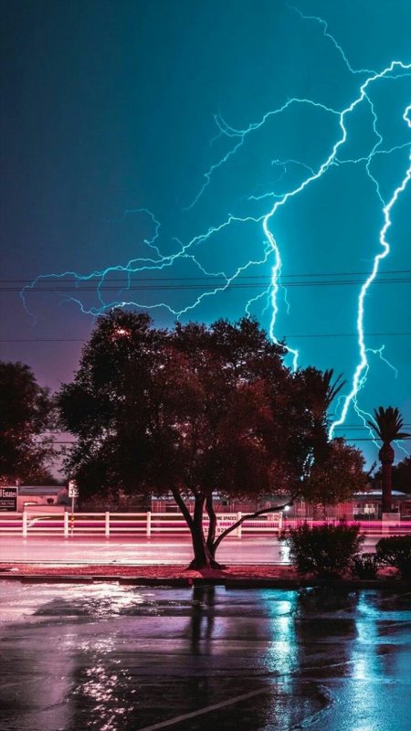 Дорога дерево молния