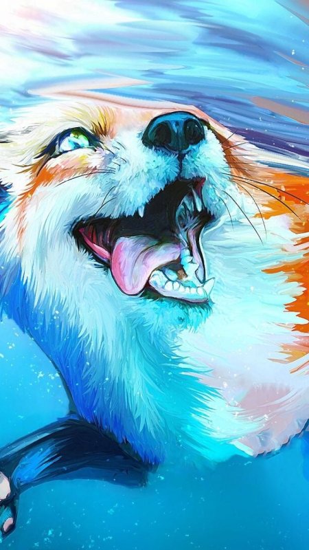 Красивая лиса