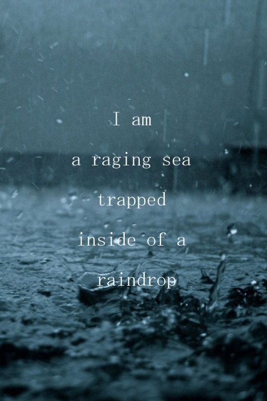 Дождь Эстетика