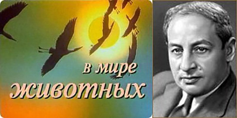 Николай Дроздов в программе в мире животных