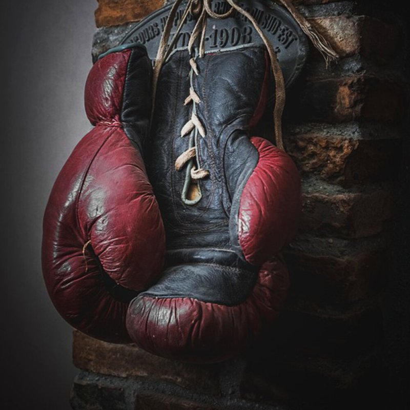 Луи Виттон боксёрские перчатки