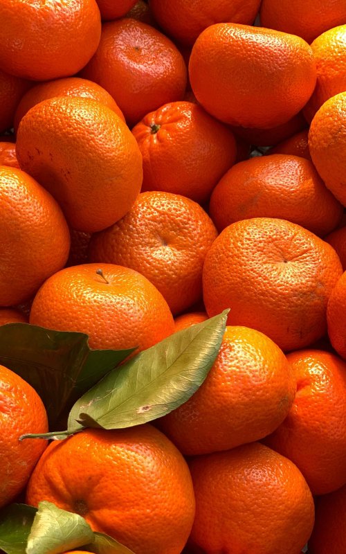 Оранжевые фрукты