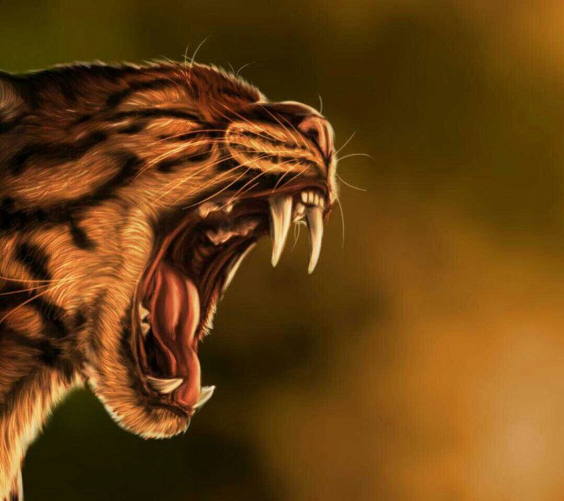 Оскал зверя