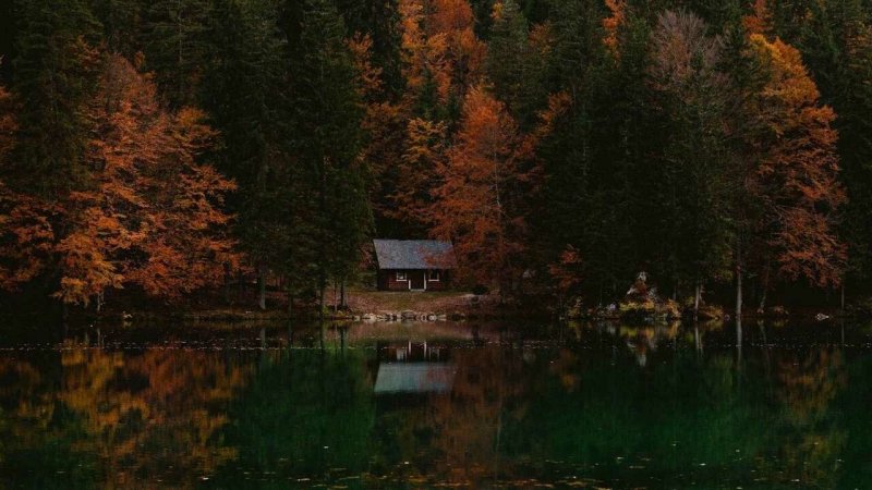 Красивый домик в лесу