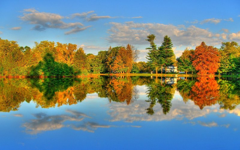 Красивая осень