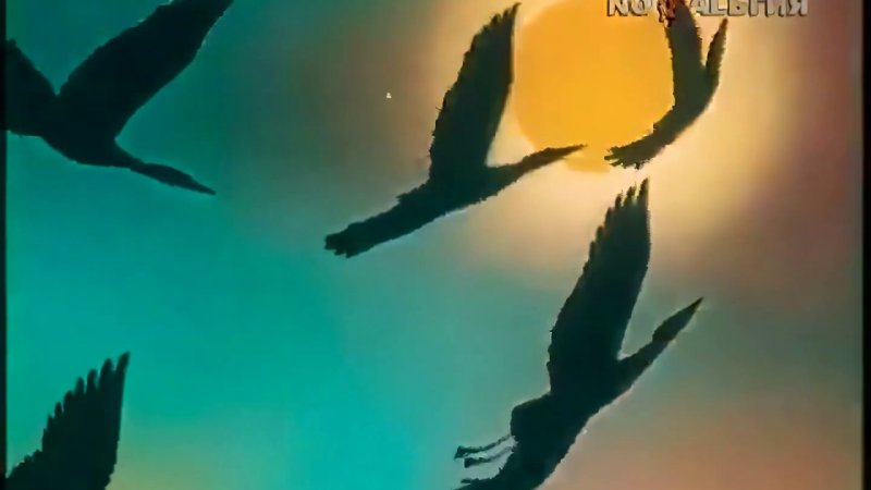 Заставка из передачи в мире животных