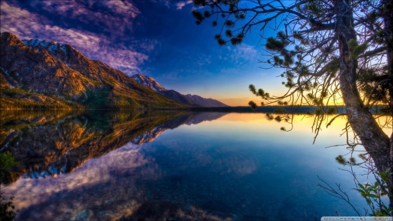 Красивая природа