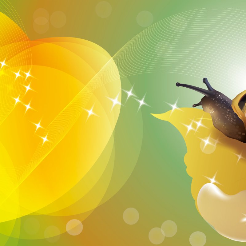 Веселые заставки на рабочий стол компьютера