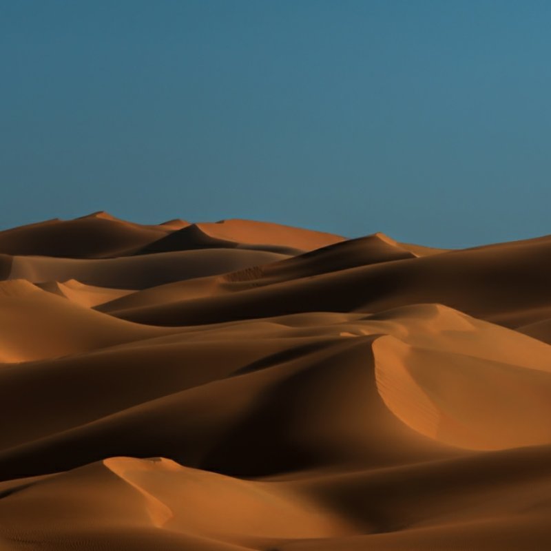 Дюна фильм пустыня