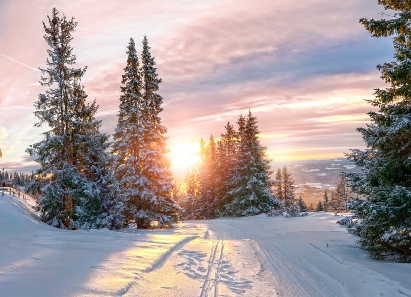 Зимний пейзаж