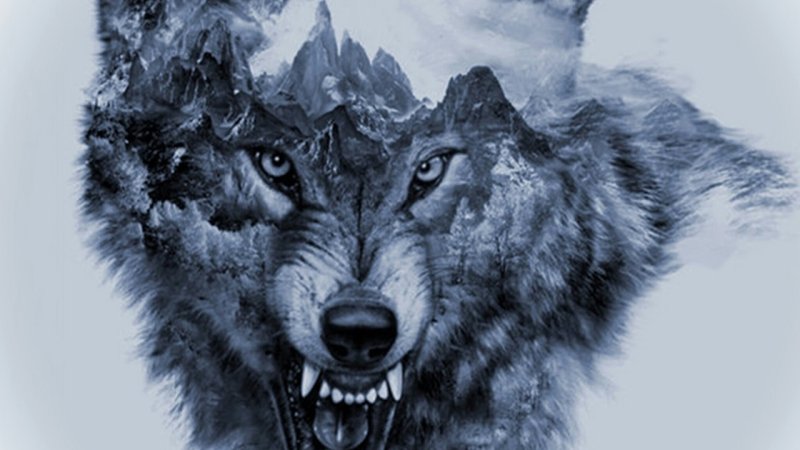 Вулф Вулф Вулф тату