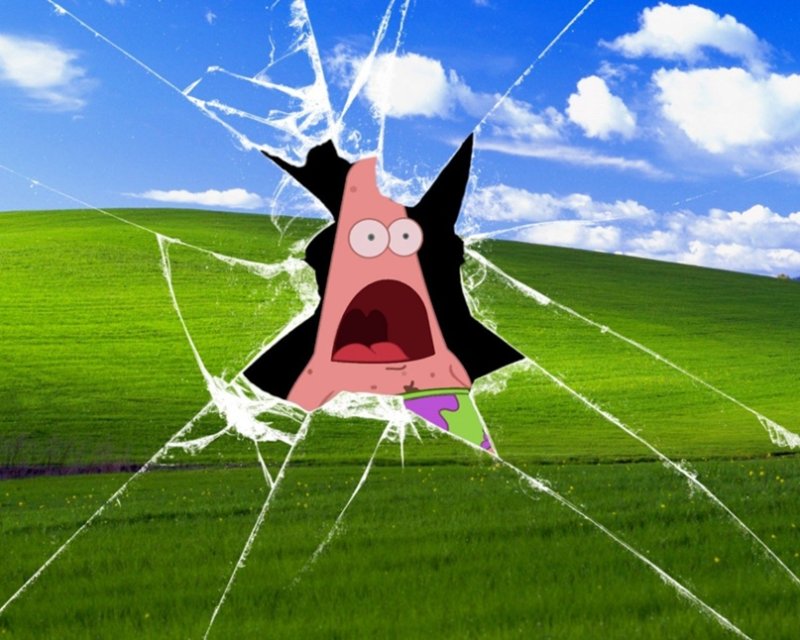 Смешные обои