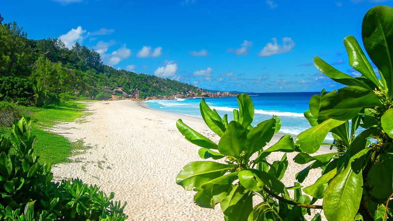 Сейшельские острова