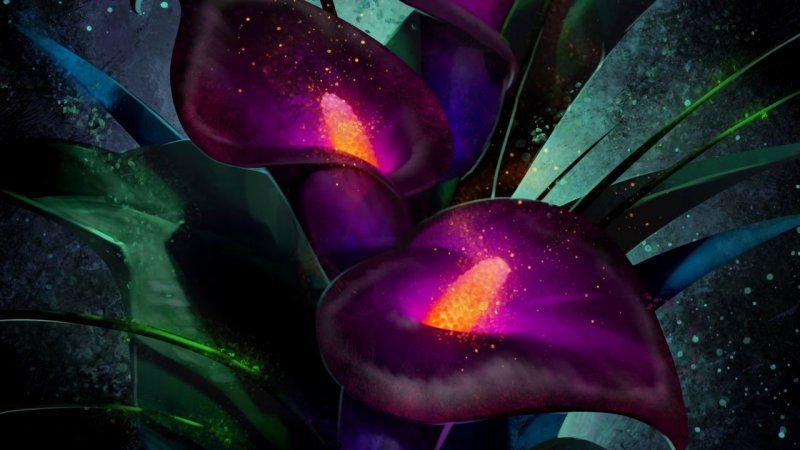 Сказочные цветы