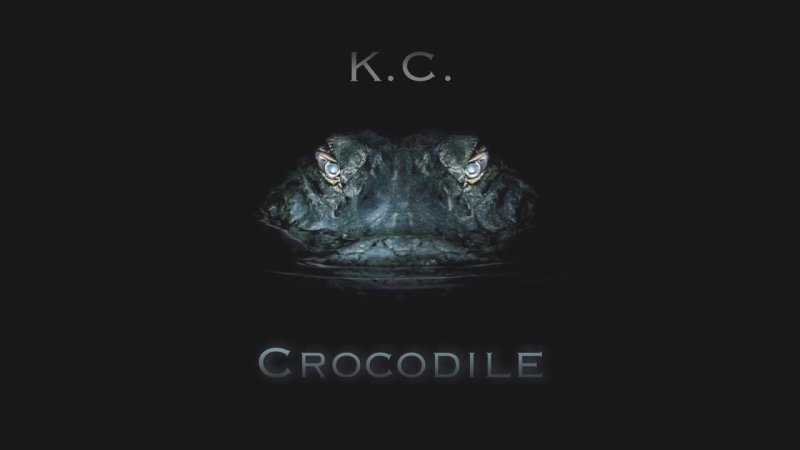 Крокодил на черном фоне