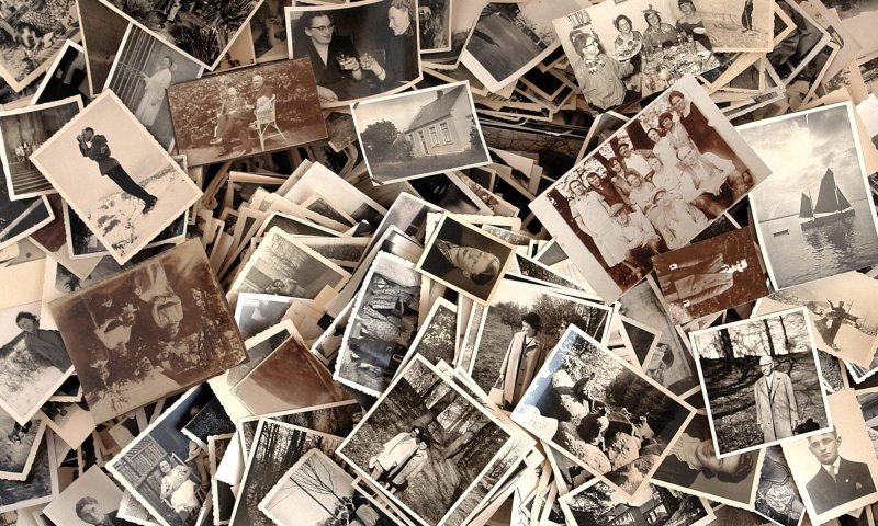 История семьи история Отечества