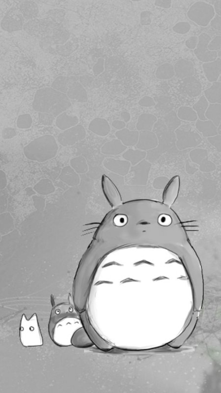 Тоторо аниме