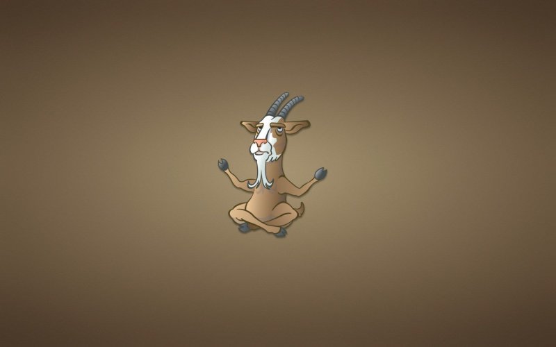 Обои на рабочий стол прикольные