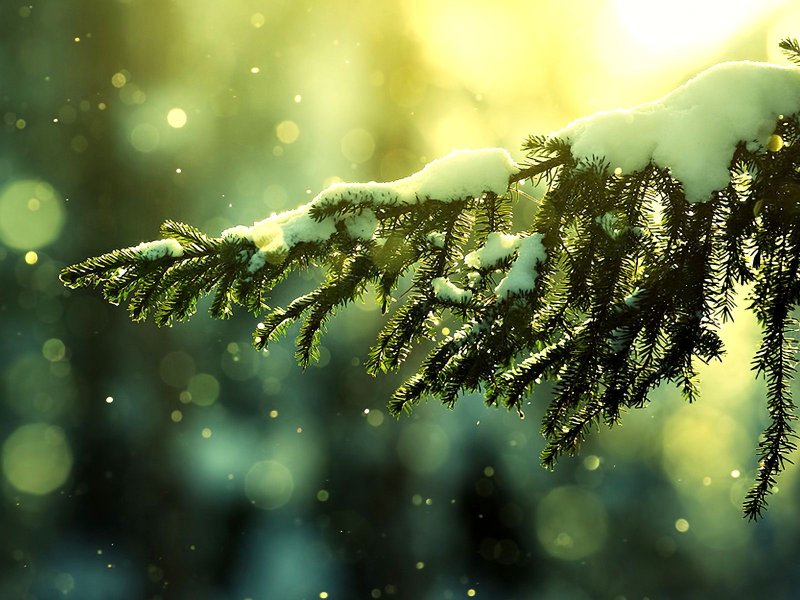 Красивые зимние обои