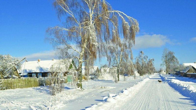 Русская природа зимой