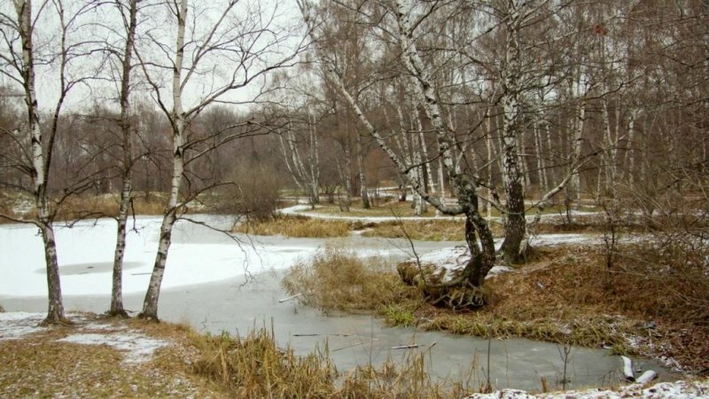 Ранняя Весна пейзаж