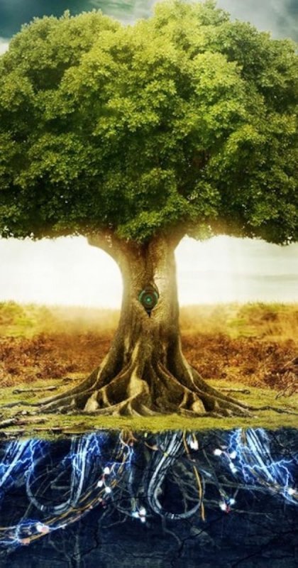 Живописное дерево